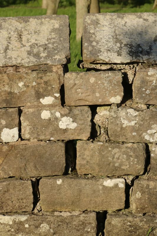 Block Wall Repair detail