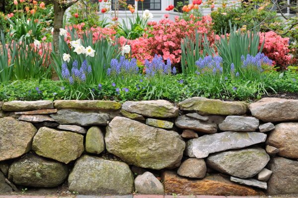 Stone Wall Hardscaping in Arroyo Grande